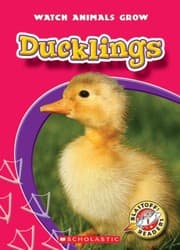 Tapa de Ducklings (Blastoff! Readers Level 1: Watch Animals Grow)