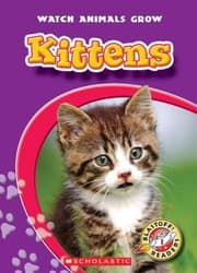 Tapa de Kittens (Blastoff! Readers: Watch Animals Grow)