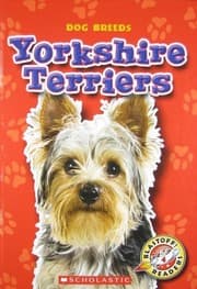 Tapa de Yorkshire Terriers (Blastoff! Readers: Dog Breeds)