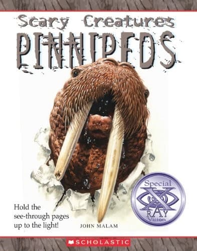 Tapa de Pinnipeds