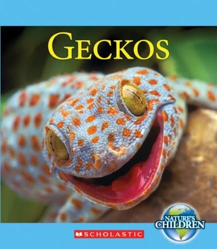 Tapa de Geckos (Nature's Children)