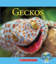 Tapa de Geckos (Nature's Children)