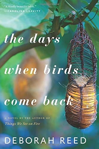 Tapa de The Days When Birds Come Back