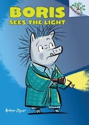 Tapa de Boris Sees the Light: A Branches Book (Boris #4)