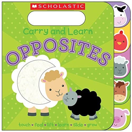 Tapa de Carry and Learn Opposites