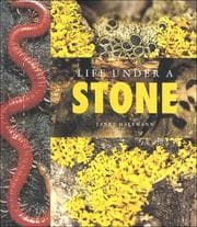 Tapa de Life Under a Stone (Halfmann, Janet. Lifeviews.) (Halfmann, Janet. Lifeviews.)