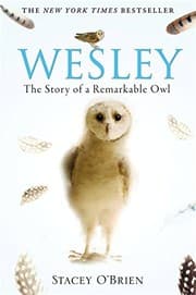 Tapa de Wesley: The Story of a Remarkable Owl