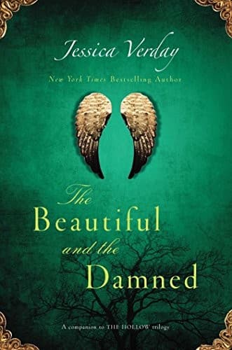 Tapa de The Beautiful and the Damned