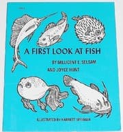 Tapa de A first look at fish