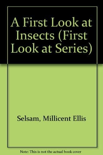 Tapa de A first look at insects