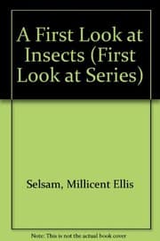 Tapa de A first look at insects