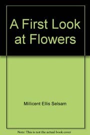 Tapa de A first look at flowers