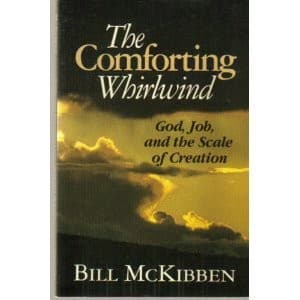 Tapa de The comforting whirlwind