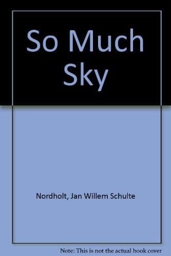 Tapa de So much sky