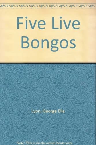 Tapa de Five live bongos