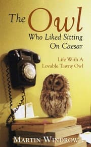 Tapa de The Owl Who Liked Sitting on Caesar