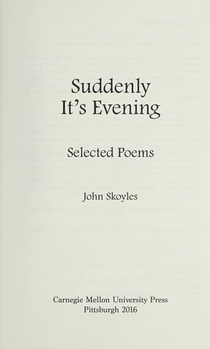 Tapa de Suddenly it's evening