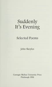 Tapa de Suddenly it's evening
