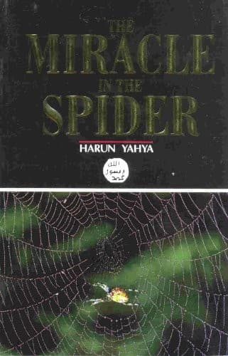 Tapa de Miracle in the Spider