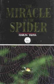 Tapa de Miracle in the Spider