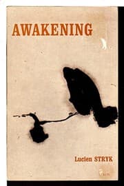 Tapa de Awakening