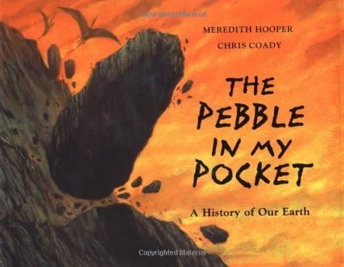 Tapa de The pebble in my pocket
