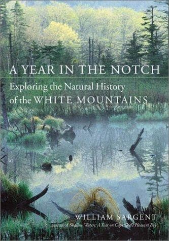 Tapa de A year in the notch
