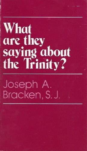 Tapa de What are they saying about the Trinity?