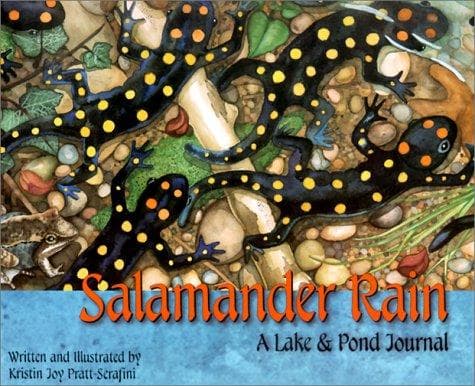 Tapa de Salamander Rain