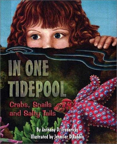 Tapa de In One Tidepool