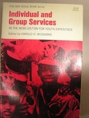 Tapa de Individual and group services in the Mobilization for Youth experience