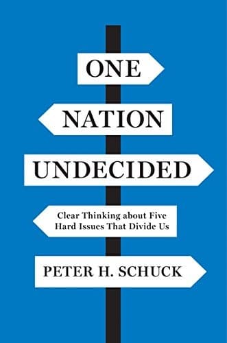 Tapa de One Nation Undecided: Clear Thinking about Five Hard Issues That Divide Us