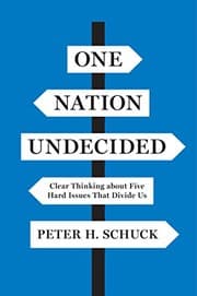 Tapa de One Nation Undecided: Clear Thinking about Five Hard Issues That Divide Us