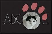 Tapa de ABC Cat