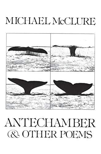 Tapa de Antechamber, & other poems