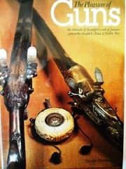 Tapa de The pleasure of guns