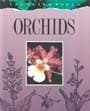 Tapa de Orchids