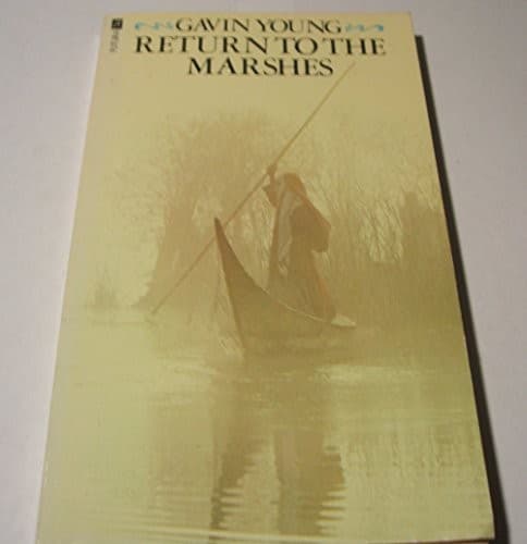 Tapa de Return to the marshes