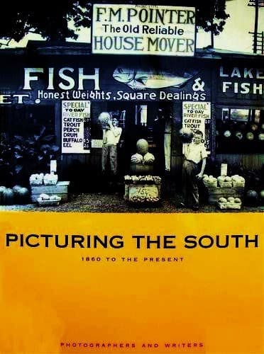 Tapa de Picturing the South