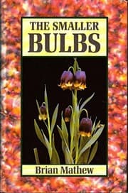 Tapa de The smaller bulbs