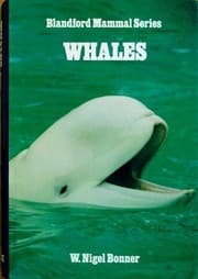 Tapa de Whales