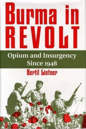 Tapa de Burma in revolt