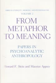 Tapa de From metaphor to meaning