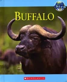 Tapa de Buffalo (Nature's Children)