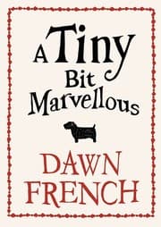 Tapa de A Tiny Bit Marvellous