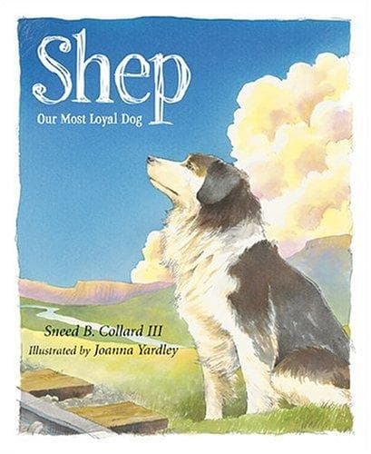 Tapa de Shep