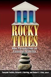 Tapa de Rocky Times: New Perspectives on Financial Stability