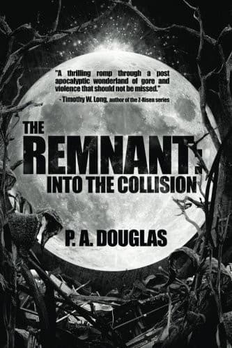 Tapa de The Remnant: Into the Collision