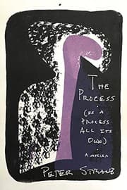 Tapa de The Process (is a Process All Its Own)