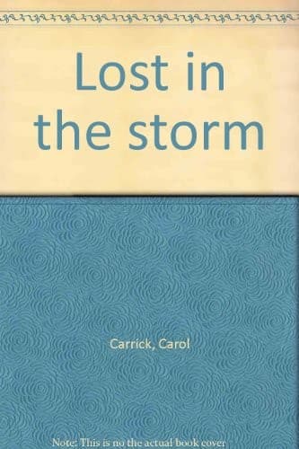 Tapa de Lost in the storm.
